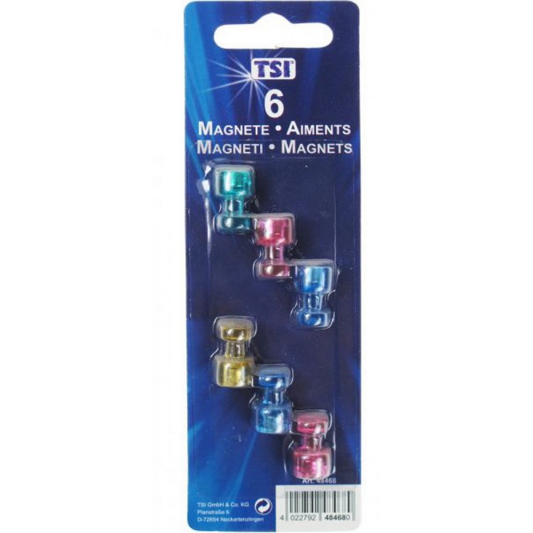 TSI Magnet Set, 6 magnets, 19x11mm